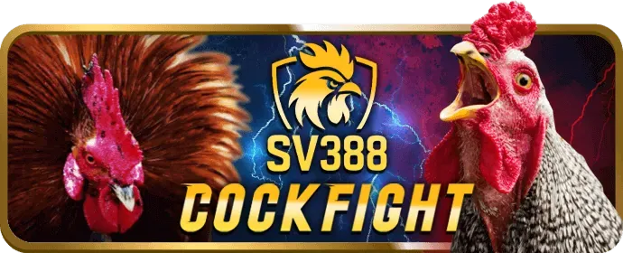 Các tài liệu chính sách của 88ck
